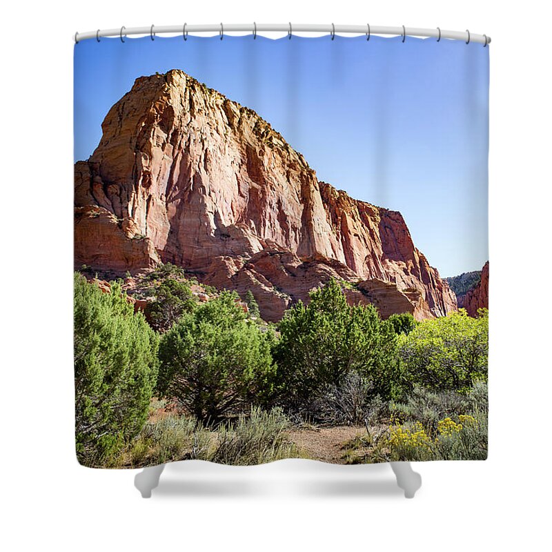 Utah Shower Curtain featuring the photograph Kolab Canyons Utah by Kathleen Scanlan