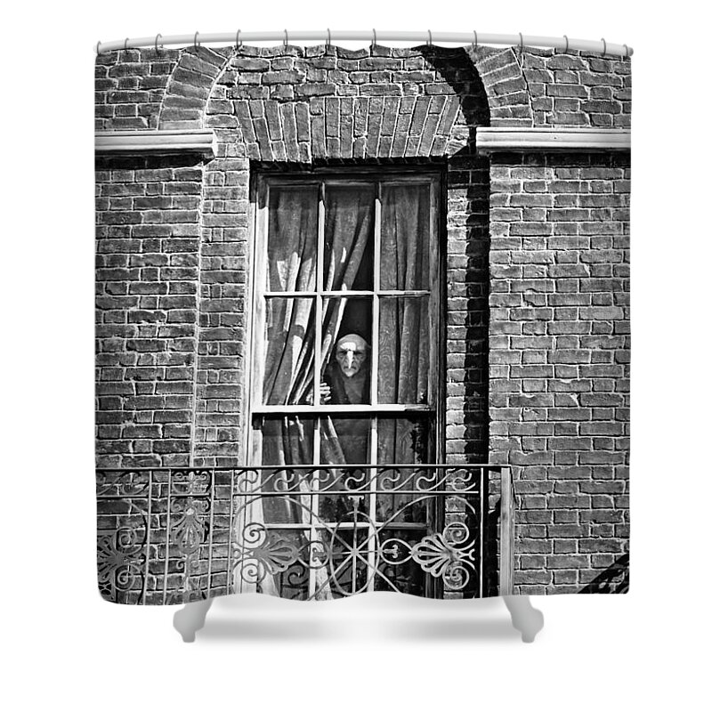 Kreacher Shower Curtain featuring the photograph Kreacher by Dark Whimsy