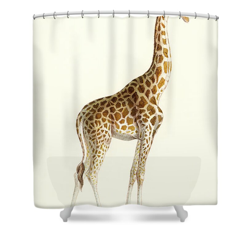 Yellow Shower Curtain featuring the painting La Giraffe by Vincent Monozlay