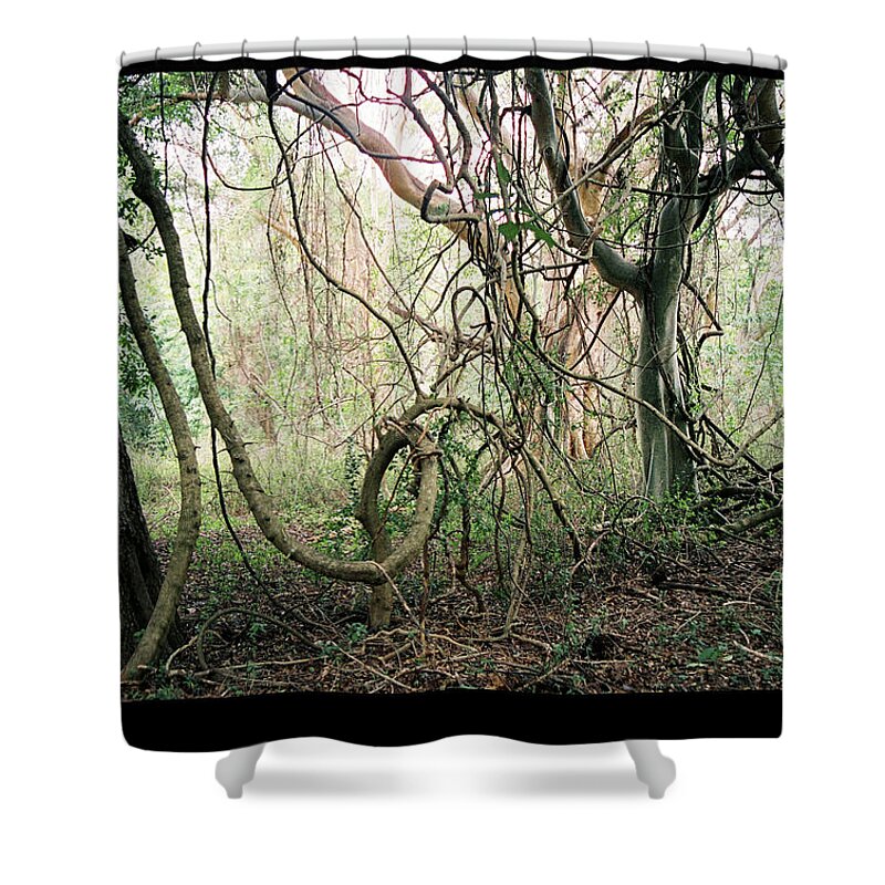 Jungle Shower Curtain featuring the digital art Labarynth of doubt by Vincent Franco