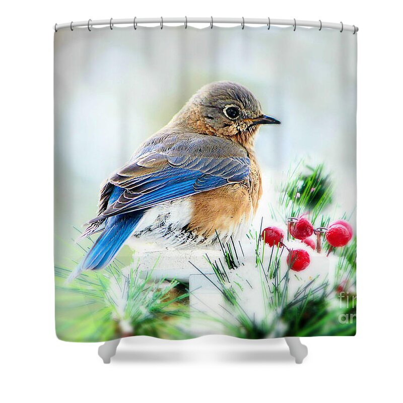 Bluebird Shower Curtain featuring the photograph Lady Bluebird by Tina LeCour