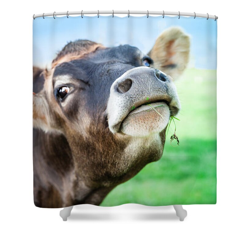 Bellingham Shower Curtain featuring the photograph Lady by Judy Wright Lott