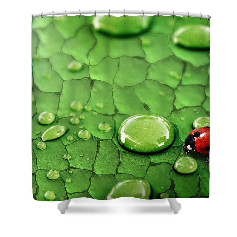 Ladybug Shower Curtain featuring the digital art Ladybug by Maye Loeser
