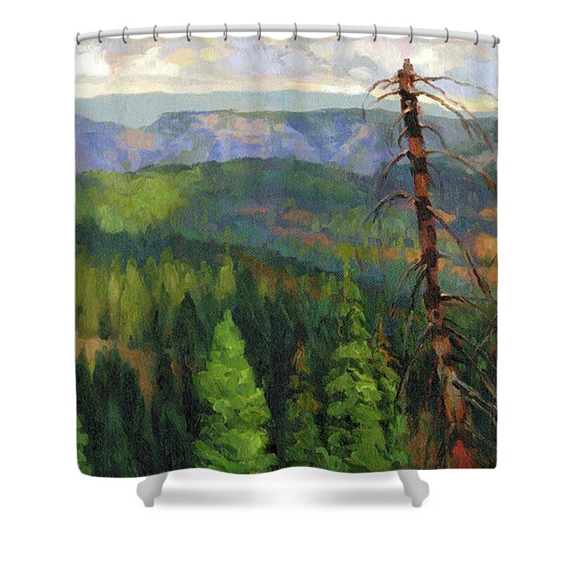 Wilderness Shower Curtain featuring the painting Ladycamp by Steve Henderson