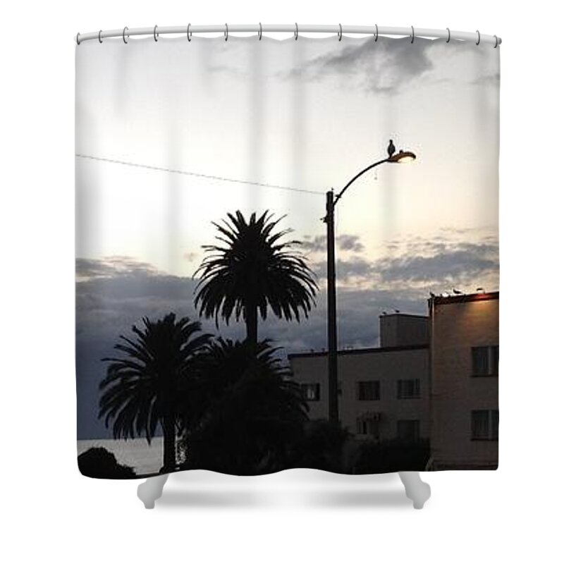 Laguna Beach Shower Curtain featuring the photograph Laguna Rain 2015 by Dan Twyman