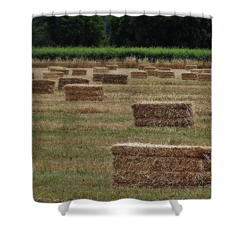 Landscape Shower Curtain featuring the photograph Lake Co 3 by Andrew Drozdowicz