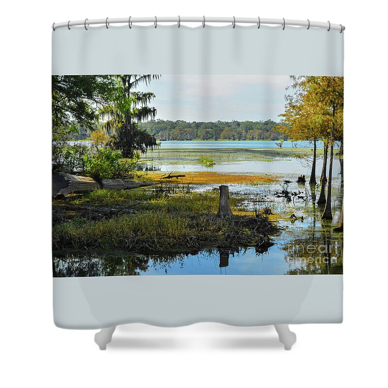 Lake Shower Curtain featuring the photograph Lake Martin by Barry Bohn