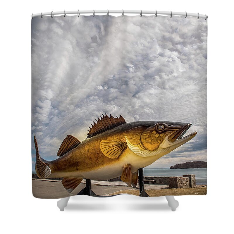 Lake Mille Lacs Shower Curtain featuring the photograph Lake Mille Lacs Walleye by Paul Freidlund