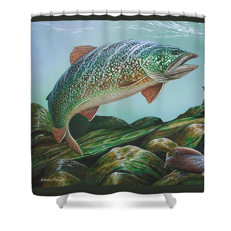 Trout Shower Curtain featuring the painting Lake Trout by Anthony J Padgett