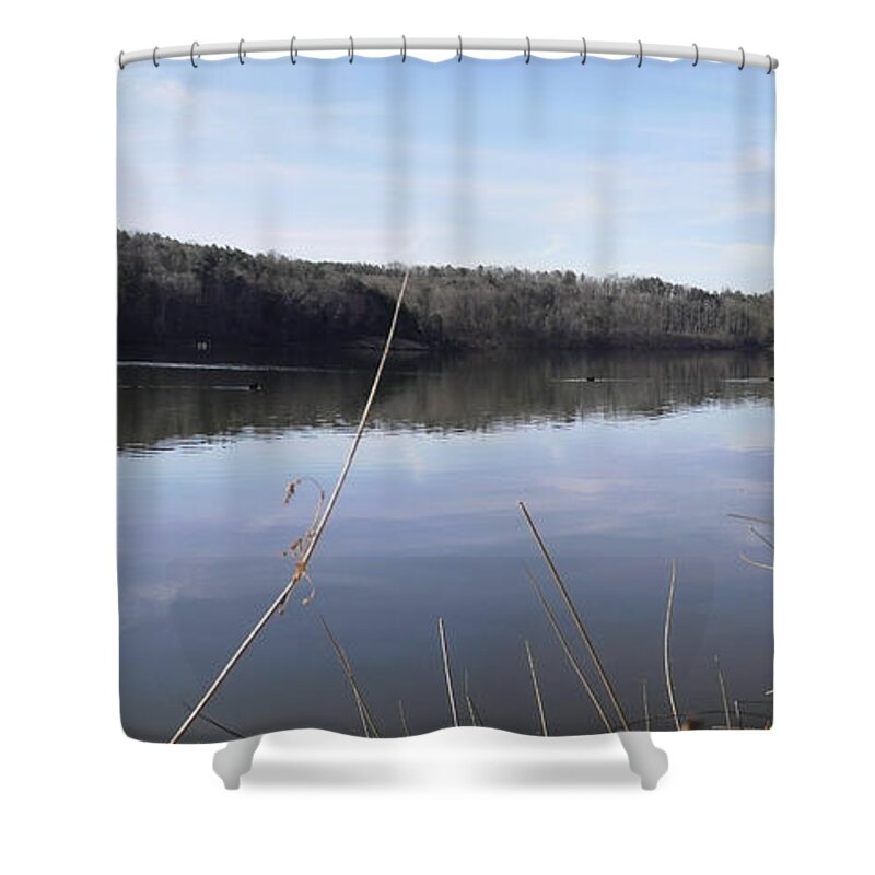 Lake Zwerner Shower Curtain featuring the photograph Lake Zwerner Early Spring by Nicole Angell