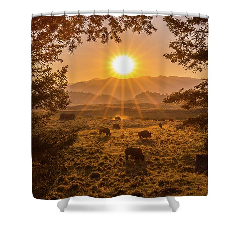 Yellowstone Shower Curtain featuring the photograph Lamar Valley Sunrise by Sean Mills