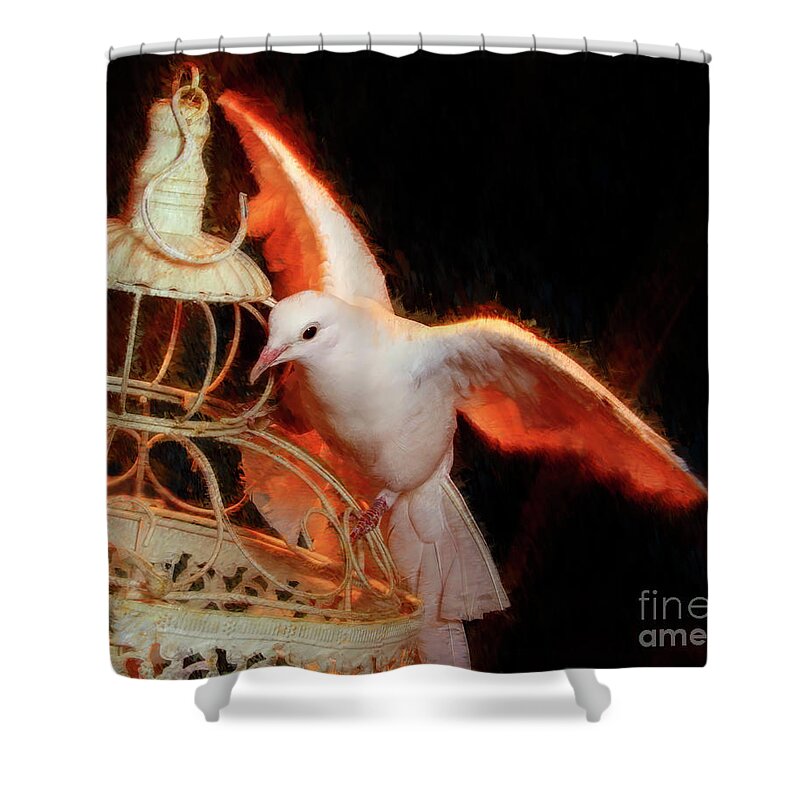 Dove Shower Curtain featuring the photograph Landing Home by Blake Richards