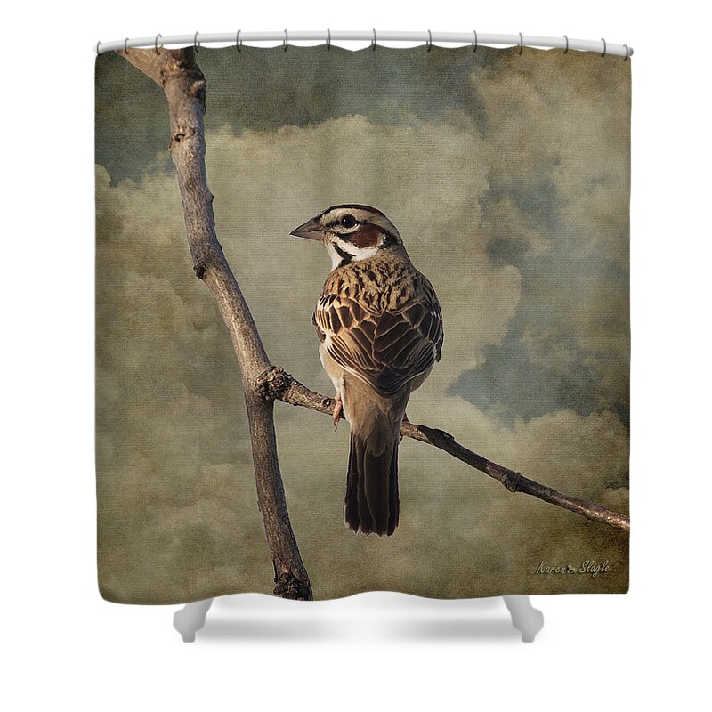 Bird Shower Curtain featuring the photograph Lark Sparrow by Karen Slagle