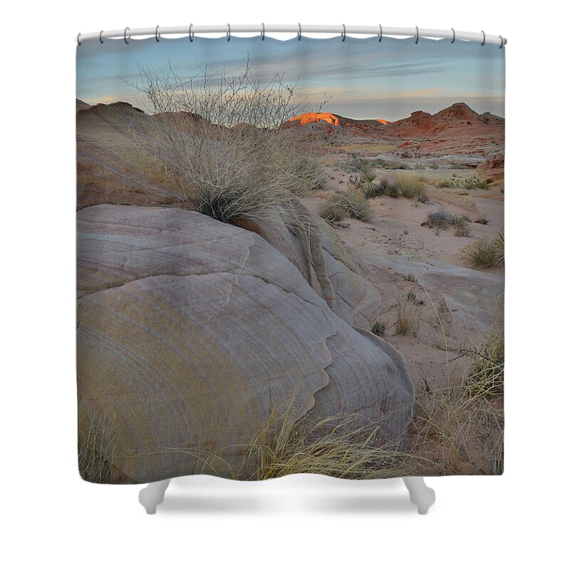Valley Of Fire State Park Shower Curtain featuring the photograph Last Light Seen From Wash 3 in Valley of Fire by Ray Mathis