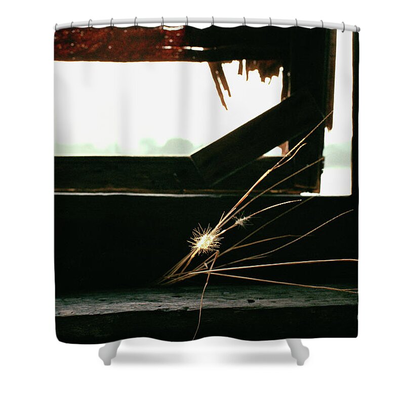 Death Shower Curtain featuring the photograph Last Man Standing by Dean Harte