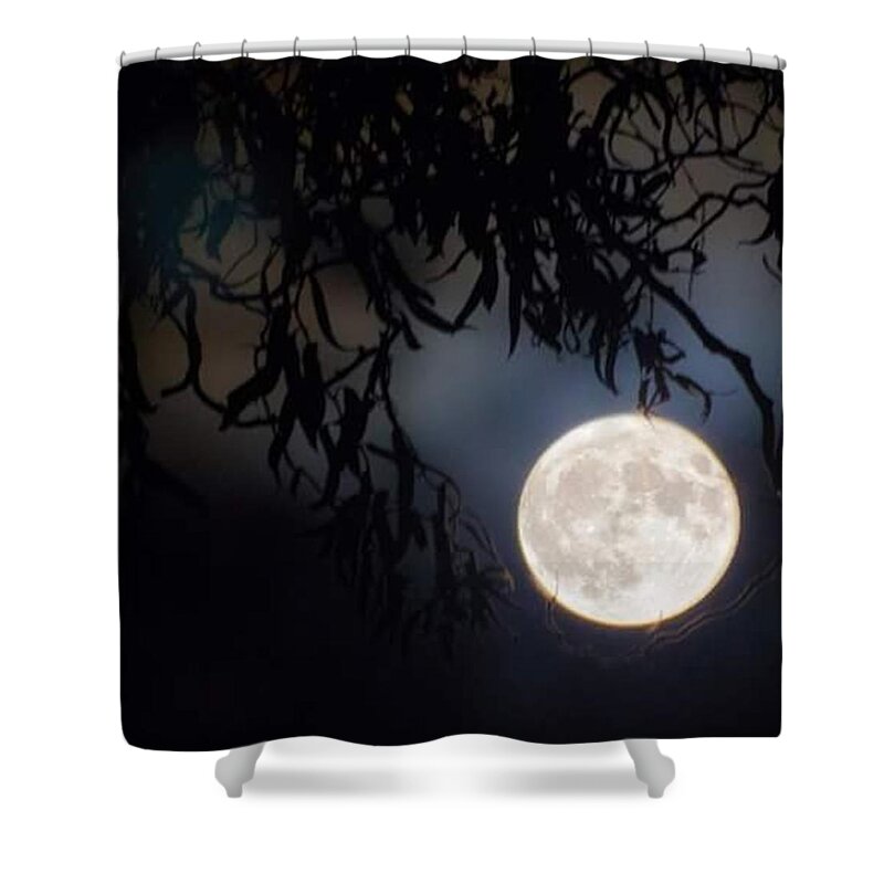 Moonlovers Shower Curtain featuring the photograph Last Night's #supermoon ...from My by Vicki Field