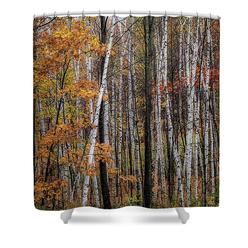 Autumn Shower Curtain featuring the photograph Last Stand by Kendall McKernon