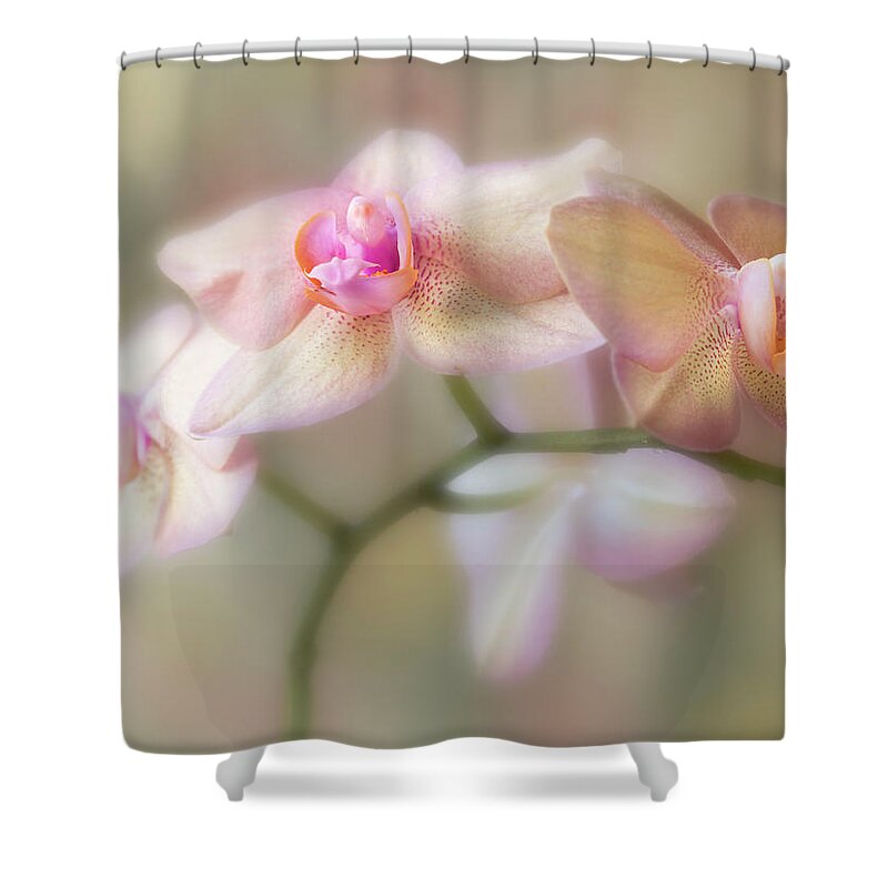 Flower Shower Curtain featuring the photograph Lasting forever. by Usha Peddamatham