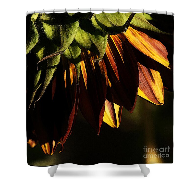 Sunflower Shower Curtain featuring the photograph Late Afternoon by Linda Shafer