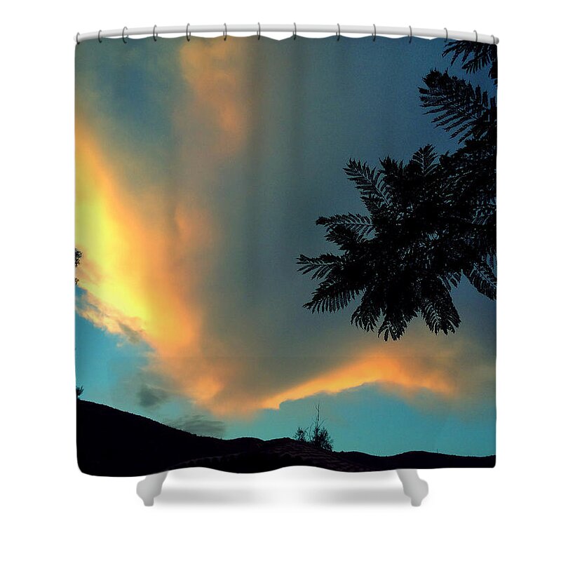 Colette Shower Curtain featuring the photograph Late Day in Spain by Colette V Hera Guggenheim