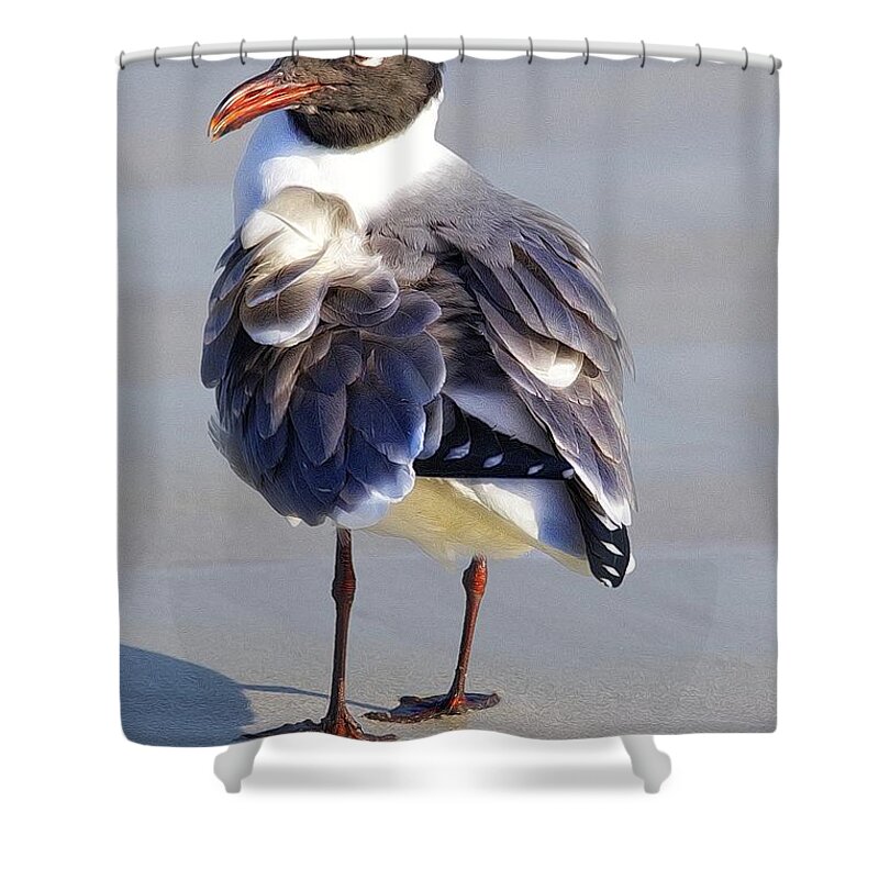 Alicegipsonphotographs Shower Curtain featuring the photograph Laughing Gull Rustled by Alice Gipson