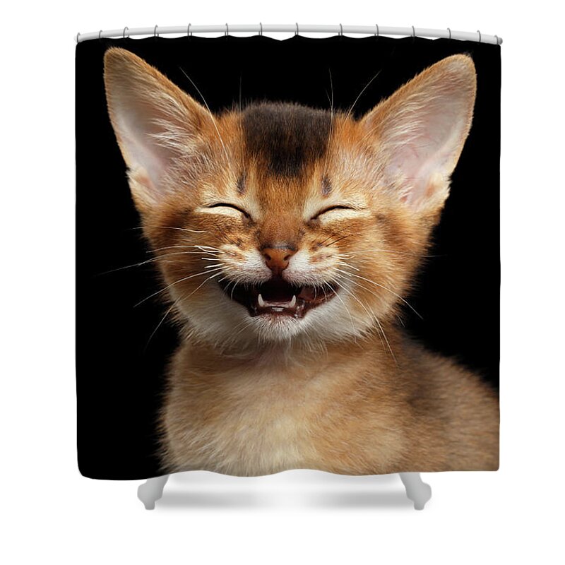 Kitten Shower Curtain featuring the photograph Laughing Kitten by Sergey Taran