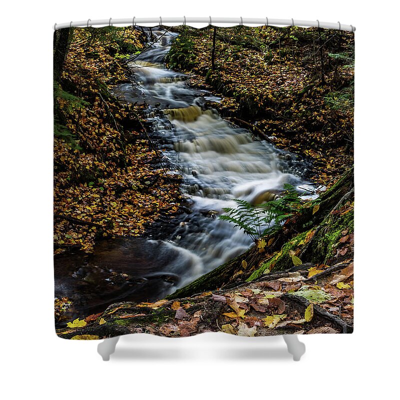 Water Shower Curtain featuring the photograph Laughing Whitefish Falls State Park by Joe Holley