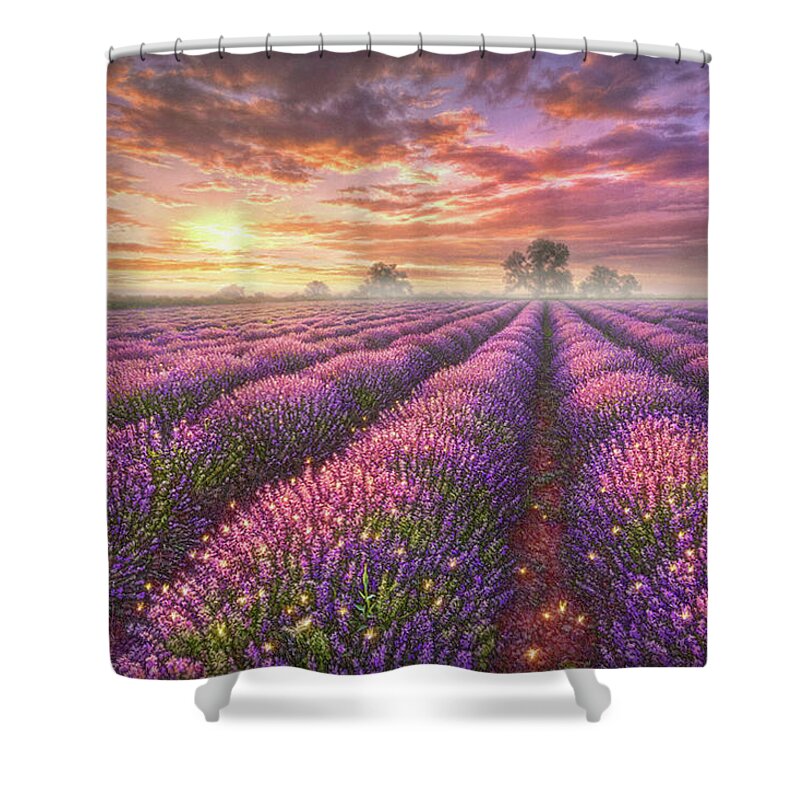 Lavender Shower Curtain featuring the painting Lavender Field by Phil Jaeger