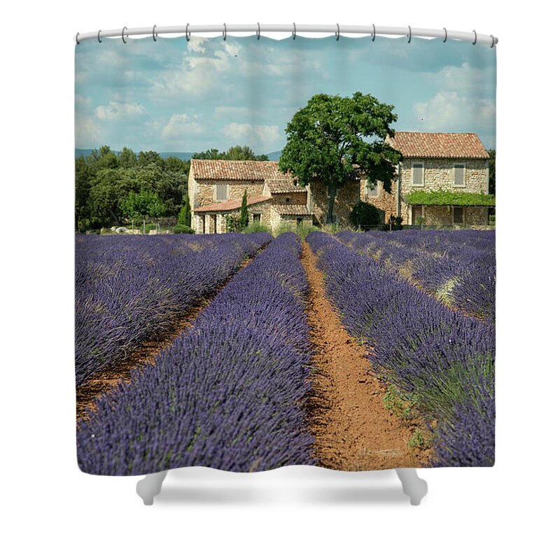 Lavender Shower Curtain featuring the photograph Lavender Field by Wade Aiken