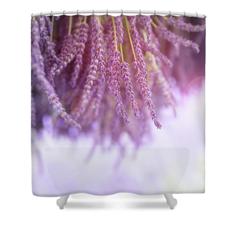 Lavender Shower Curtain featuring the photograph Lavender by Jane Rix