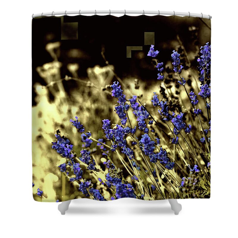 Purple Shower Curtain featuring the photograph Lavender Yellow by April Burton