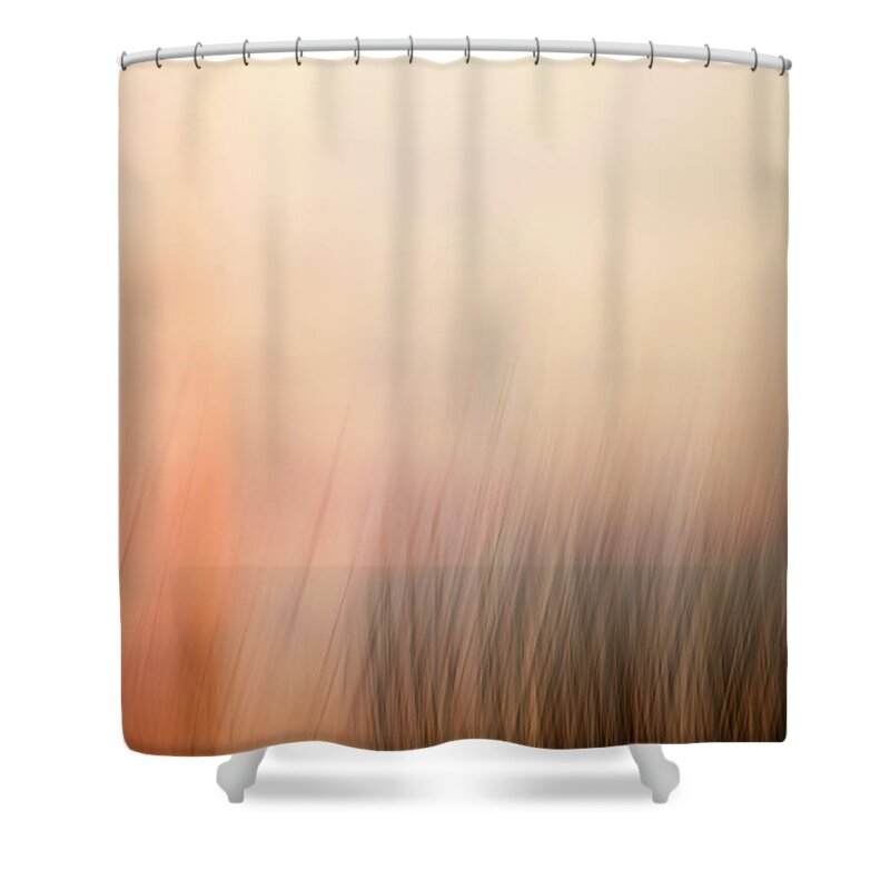 Abstract Expressionism Shower Curtain featuring the photograph Laying Low at Sunrise by Marilyn Hunt
