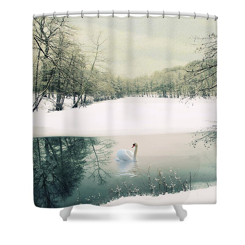Winter Shower Curtain featuring the photograph Le Reve by Jessica Jenney