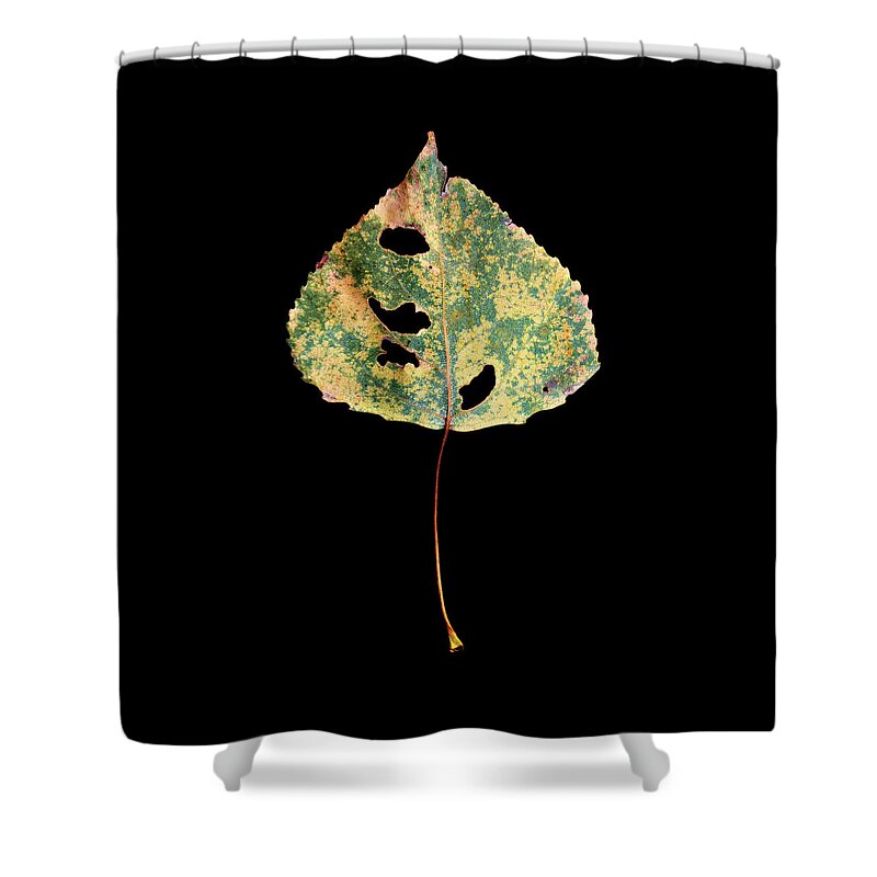 Leaves Shower Curtain featuring the photograph Leaf 25 by David J Bookbinder