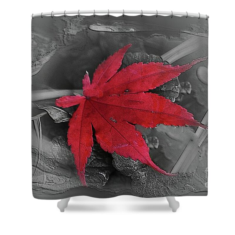 Leaf Shower Curtain featuring the photograph Leaf abstract by Yumi Johnson