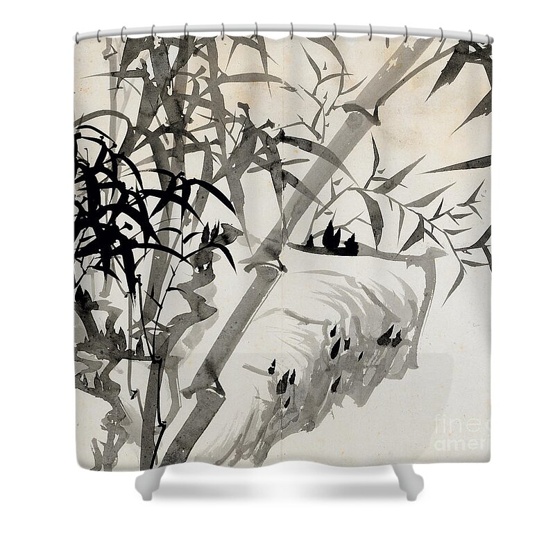 Grey Seal Shower Curtains