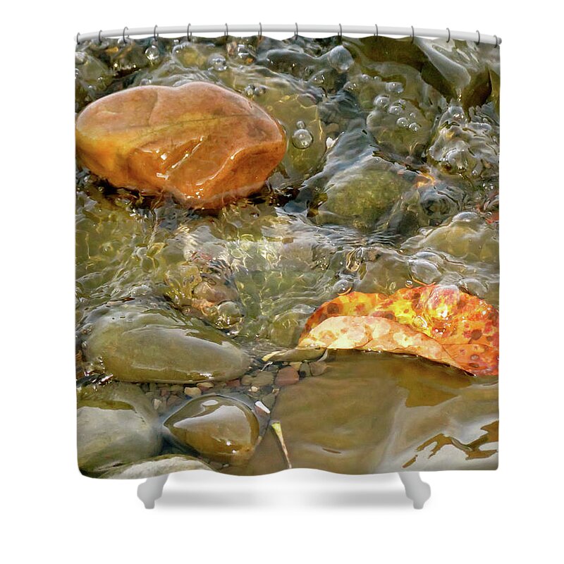 Rock Shower Curtain featuring the photograph Leaf, Rock Leaf by Azthet Photography