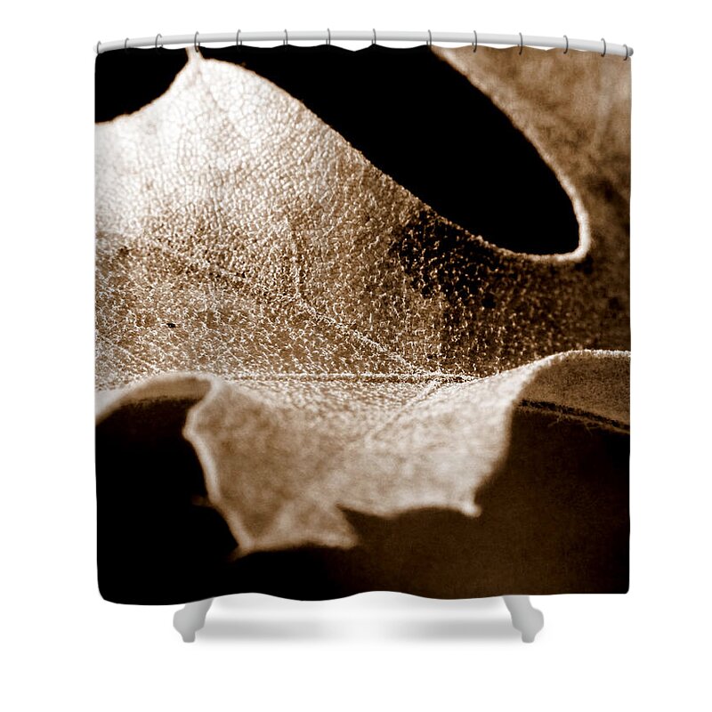 Macro Shower Curtain featuring the photograph Leaf Study in Sepia by Lauren Radke