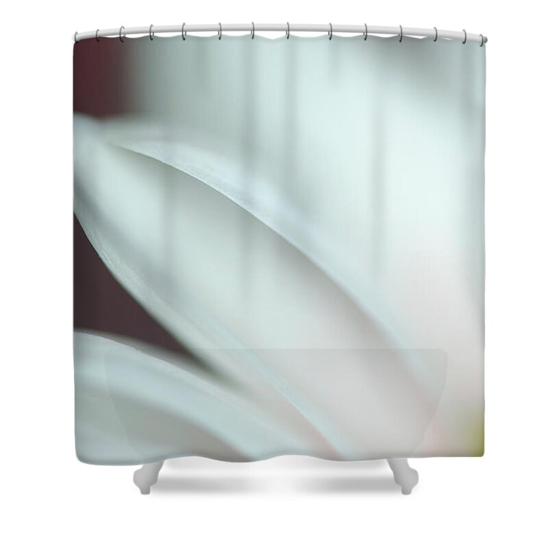 Bokeh Shower Curtain featuring the photograph Lean On Me by Sandra Parlow