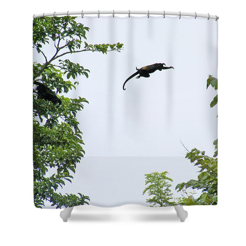 Monkey Shower Curtain featuring the photograph Leaping Monkey by Ted Keller