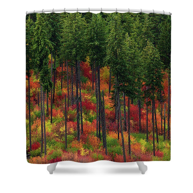 Fall Shower Curtain featuring the photograph Leavenworth Checkerboard by Dan Mihai