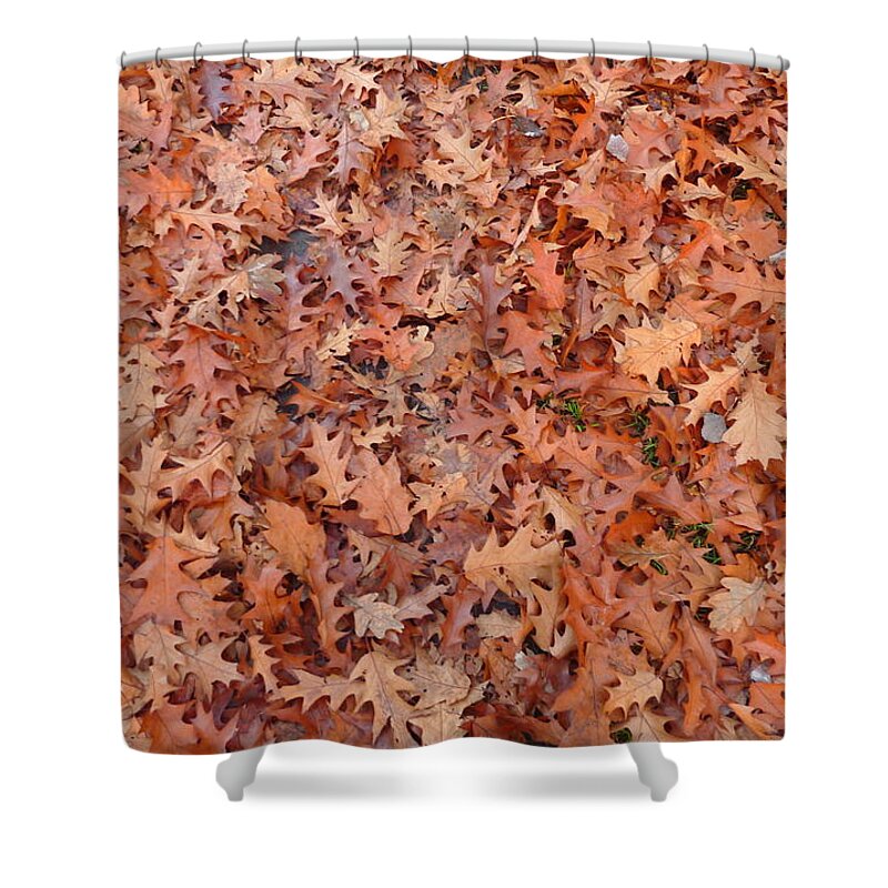 Leaves Shower Curtain featuring the photograph Leaves autumn by Lukasz Ryszka