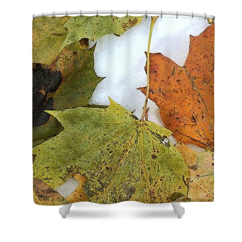 Abstract Shower Curtain featuring the digital art Leaves On The Snow Three by Lyle Crump