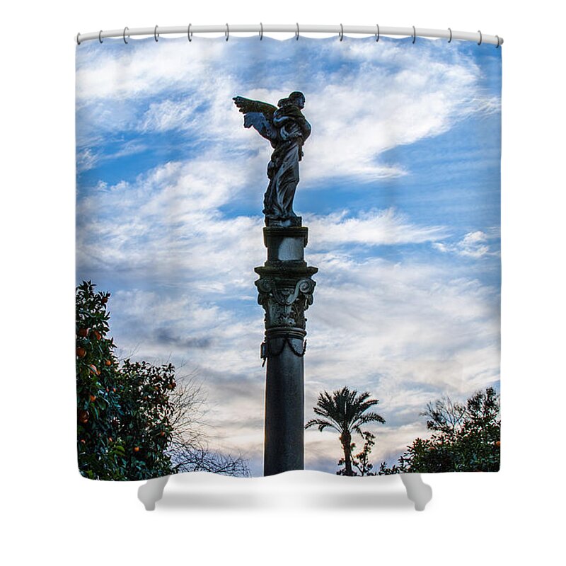 Stone Protectors Shower Curtains