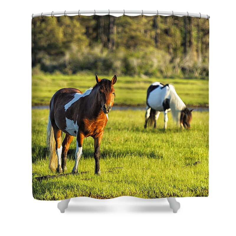 Horse Shower Curtain featuring the photograph Leaving the Chincoteague Ponies by Belinda Greb