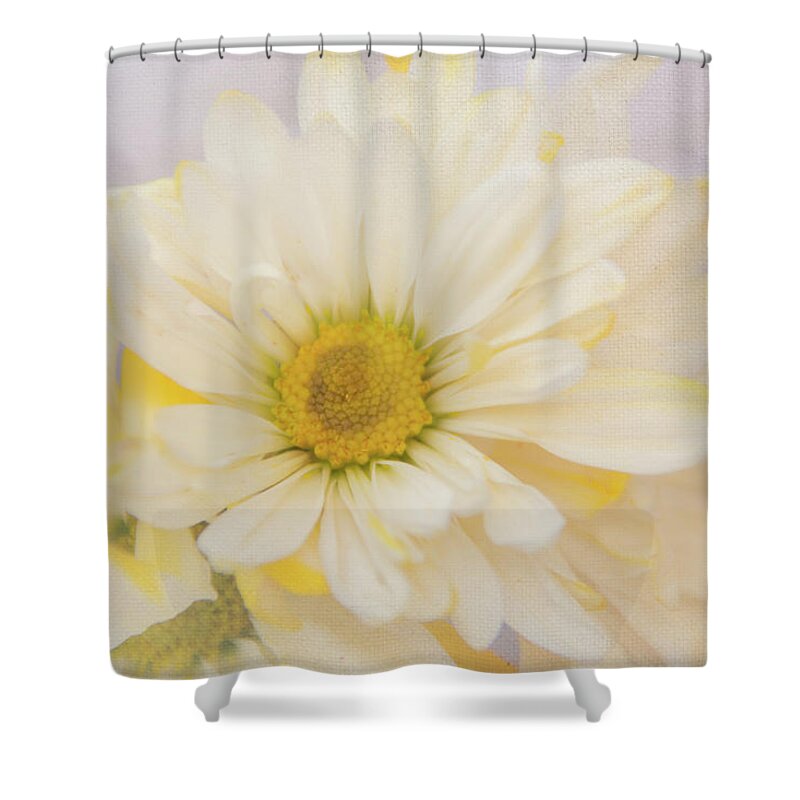  Daisy Shower Curtain featuring the photograph Lemon Sunshine by Pamela Williams