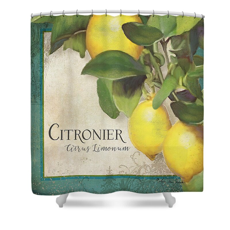Lemons Shower Curtain featuring the painting Lemon Tree - Citronier Citrus Limonum by Audrey Jeanne Roberts