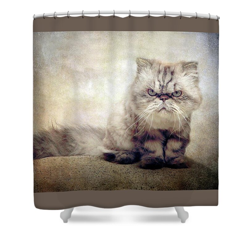 Cat Shower Curtain featuring the photograph Leon by Jessica Jenney