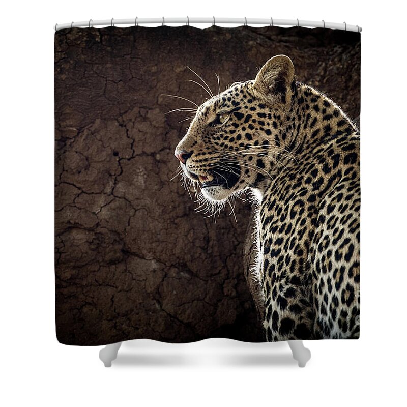 Botswana Shower Curtain featuring the photograph Leopard by Patti Schulze