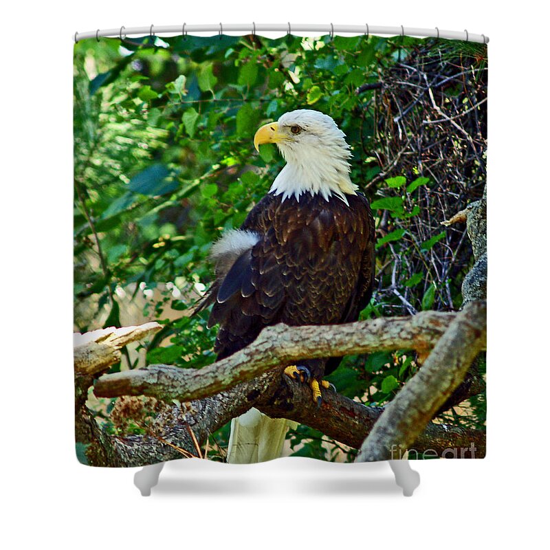 Fine Art Photography Shower Curtain featuring the photograph Let Freedom Ring by Patricia Griffin Brett